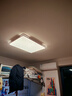 TCL照明 LED客厅灯简约灯具套餐客厅吸顶灯知玉系列三色调光无忧安装 实拍图
