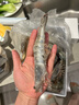 原装礼盒进口南美白对虾 厄瓜多尔盐冻大虾 支支分离 高客单爆款 南美白虾2030/盒 3斤(净重) 实拍图