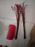 九月生新年装饰银柳真花20支60cm年宵花干花摆件礼盒送礼送亲友带花瓶 实拍图
