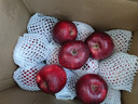 京鲜生 甘肃天水花牛苹果 又大又红 净重10斤 单果200g以上 新鲜水果  实拍图