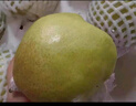 隰县玉露香梨 【顺丰现货】整箱香梨当季水果山西隰县小西天特产 孕妇水果送礼 9粒中果（净重约4.5斤）75+mm 实拍图