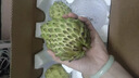 鲜福林云南牛奶凤梨释迦果新鲜应季水果超甜糯番荔枝 净重3斤（单果250g+ 甜糯爽滑) 实拍图