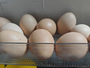 德青源PLUS联名款A+级鲜鸡蛋32枚2.74斤无抗生素 源头直发 1件包邮 实拍图