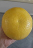 鲜闻果正宗爆汁黄金葡萄柚9斤柚子新鲜当季福建平和水果蜜柚文旦甜西柚A 9斤中果9-12个【250g+】 实拍图