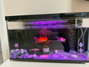 米家（MIJIA）智能生态鱼缸定时喂食智能鱼缸+画法几何增氧泵套装 实拍图