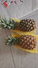 十里馋海南金钻凤梨当季水果手撕菠萝香水新鲜小菠萝整箱批发 2枚精选果 净重2.5-3斤 实拍图
