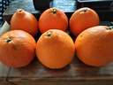 京鲜生【公益好物】川爷爷的爱媛38号果冻橙 净重4.5-5斤 单果120g＋ 实拍图