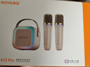 金运（KINYO）k歌麦克风音箱一体机无线话筒唱歌神器家庭KTV套装自带声卡蓝牙小音响卡拉OK连电视2025圣诞礼物 实拍图