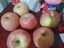京鲜生 烟台红富士苹果 净重10斤 单果190g以上 生鲜水果 礼盒装 实拍图