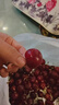 田良季智利进口车厘子【JD-多地次日达】新鲜生鲜大樱桃水果送礼品物盒 3斤(净重) 礼箱装【很划算】 巨无霸 JJJ 30-32mm丨个大超甜 实拍图