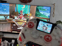 北通鲲鹏50第二代无线游戏手柄智控蓝牙手柄 xbox电脑PC手机steam电视NSswitch2震动体感 原神宝可梦ZA 实拍图