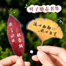 狮洛德 中国风60张书法树叶书签学生文具考试奖励小礼品创意励志文字书页夹 实拍图