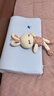 睡眠博士（AiSleep）泰国进口幻梦婴幼儿乳胶枕午睡枕儿童枕新生儿枕头宝宝枕头7cm 实拍图