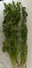 带根香菜100g 实拍图