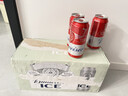 百威啤酒冰啤酒500ml*18听+淡色拉格450ml*3听组合装京东自营新年送礼 实拍图