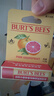 小蜜蜂（Burt'sBees）无色润唇膏山姆同款天然保湿秋冬补水生日礼物葡萄柚+细致4.25g*2 实拍图