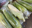 顾果鲜广西白糯牛奶玉米9斤新鲜现摘黏粘棒子带皮生苞米甜嫩农家自种 9斤 实拍图