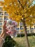 正版hellokitty玩偶挂件可爱书包hello kitty玩偶挂件生日礼物 粉色厨师帽【11cm】正版带吊牌+镭射防伪标 送钥匙扣 实拍图