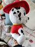 汪汪队立大功（PAW PATROL）毛绒玩具狗狗陪睡玩偶经典款毛毛中号坐姿可爱公仔男女孩生日礼物 实拍图