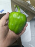 新鲜绿菜椒现摘山东圆椒青椒太空甜椒蔬菜灯笼椒生吃蔬菜沙拉 新鲜圆椒1斤 实拍图