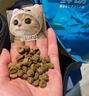 醇粹黑标全价无谷猫粮冻干成猫幼猫粮4.5kg（1.5kg*3） 实拍图
