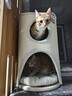 兽牌树洞剑麻桶猫窝猫抓板一体剑麻猫爬架双层大猫屋半封闭式冬季保暖 燕麦奶白丨三层剑麻桶 实拍图