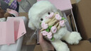绿光派对 THE GREEN PARTY玫瑰花小羊玩偶情人节生日礼物送女朋友娃娃毛绒玩具女生陪伴公仔 【礼盒装】玫瑰花小羊粉色 实拍图
