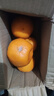 云南蜜橘 新鲜无籽薄皮桔子水果橘子橙子小青柠金桔沃柑小青柑 带箱1斤（55mm起） 实拍图