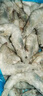 GUO LIAN国联 国产盐冻大虾 无冰净重3斤 特大号45-60只 白对虾海鲜生鲜 实拍图