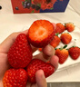 京鲜生红颜草莓300g+15mm蓝莓2盒+J车厘子450g 美莓生鲜水果礼盒 实拍图