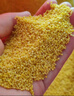 十月稻田 山西黄小米 5斤 25年新米 小米杂粮 五谷杂粮营养早餐粥米 粗粮 实拍图