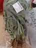 大菠菜300g 实拍图
