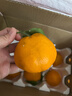 京鲜生 四川春见耙耙柑 净重4.5-5斤年货礼盒 单果170g+ 源头直发包邮 实拍图