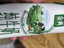 伊利金典纯牛奶整箱 250ml*16盒 3.6g乳蛋白 年货礼盒装 实拍图