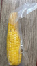 东北农嫂糯玉米段多色可选软糯香吉林原产粘玉米真空低脂饱腹粗粮代餐 【爆款推荐】黄糯玉米穗1.25kg 约6根 实拍图