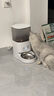 霍曼（Homerun）Real智能自动喂食器猫粮狗粮定时猫咪自动投食机 不锈钢碗喂食器+三代饮水机 实拍图