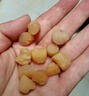 北海印象干贝瑶柱淡干海鲜海产干货扇贝肉煲汤煮粥送礼送父母长辈送礼礼品 中号干贝瑶柱 250g * 1罐 实拍图