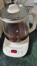 小熊（Bear）养生壶 煮茶壶 恒温水壶 保温烧水一体电热水壶花茶壶 316L不锈钢 1.5L大容量 YSH-J15H8 实拍图
