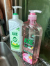 斧头牌（AXE）荷露陈香玻尿酸维生素B5护肤洗洁精1kg果蔬净清洁力+80% 实拍图