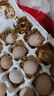 忆乡岭鸡蛋 散养谷物蛋 农家山林喂养 初生鲜土鸡蛋 20枚800g 实拍图