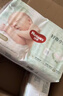 好奇（Huggies）金装纸尿裤S120片(4-8kg)尿不湿【速干不易红】 实拍图