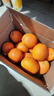 江西赣南脐橙 橙子纽荷尔甜橙水果甜橙子现摘当季正箱新鲜水果 9斤装净重（单果220g起） 实拍图