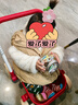 kidpop宝宝学步车可调速婴儿多功能手推车防侧翻助步车周岁礼物 活力红 实拍图