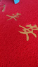 迪茵（DIYIN）入户门地垫进门丝圈门垫商用地毯大门口脚垫 红色出入平安60*90cm 实拍图
