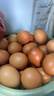 德青源柴垛儿鲜鸡蛋30枚2.58斤 无抗生素 营养早餐 家庭礼盒装 实拍图