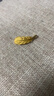 周生生羽毛黄金吊坠 足金挂坠女不含项链 生日礼物86820P计价2.2克 实拍图