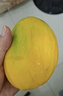 京鲜生攀枝花凯特芒果 净重4.5斤 单果600g+ 生鲜水果 源头直发 实拍图