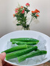 观夏（TOSUMMER）香薰蜡烛 昆仑煮雪香东方植物调精油室内香氛蜡烛 生日礼物送女友 昆仑煮雪 新“植制”精油木芯香薰蜡烛240g 实拍图