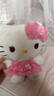 名创优品（MINISO）三丽鸥Hello Kitty凯蒂猫玫瑰之约毛绒公仔玩具玩偶抱枕生日礼物 实拍图