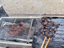 尚烤佳（Suncojia）无烟烧烤碳果木炭烧烤炭火锅围炉煮茶取暖烤肉苹果木炭原木炭5斤 实拍图